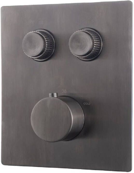 Wiesbaden Douchekraan Caral Klik Pro Afbouwdeel Thermostatisch Inbouw Geborsteld Gunmetal 2-weg