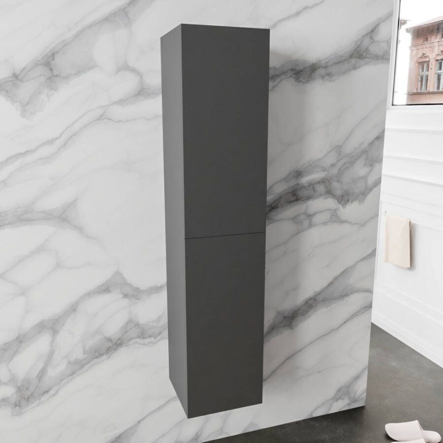 BLUE LABEL Annika universele kolomkast 2 omkeerbare deuren 1600 x 350 x 350mm(HxBxD ) antraciet