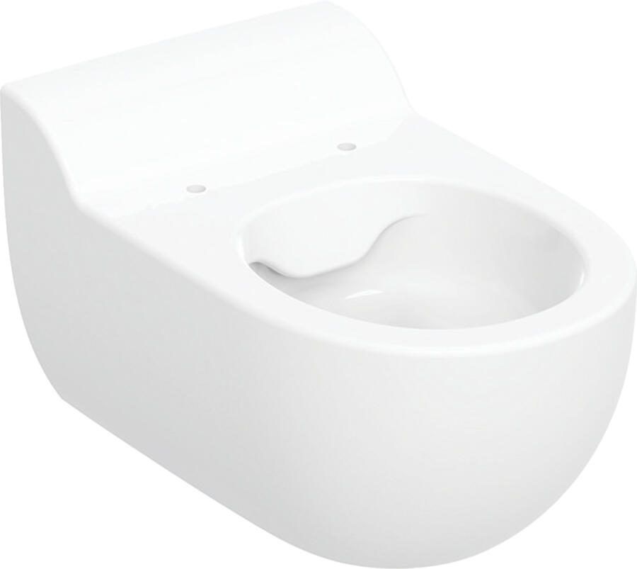 GEBERIT Bambini wandcloset 53cm diepspoel Rimfree wit 502.959.00.1