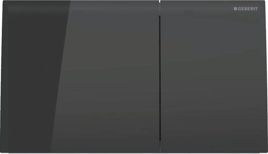 Geberit Sigma 70 bedieningsplaat df frontbediend 25x14 6cm zwart