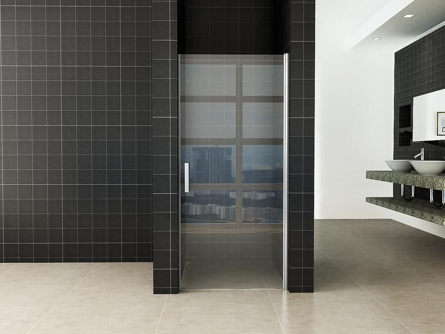 Italy Sanitair Eco nisdeur met profiel 800x1950 6mm