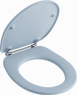 Villeroy&Boch Closetzitting Omnia Classic 88246101