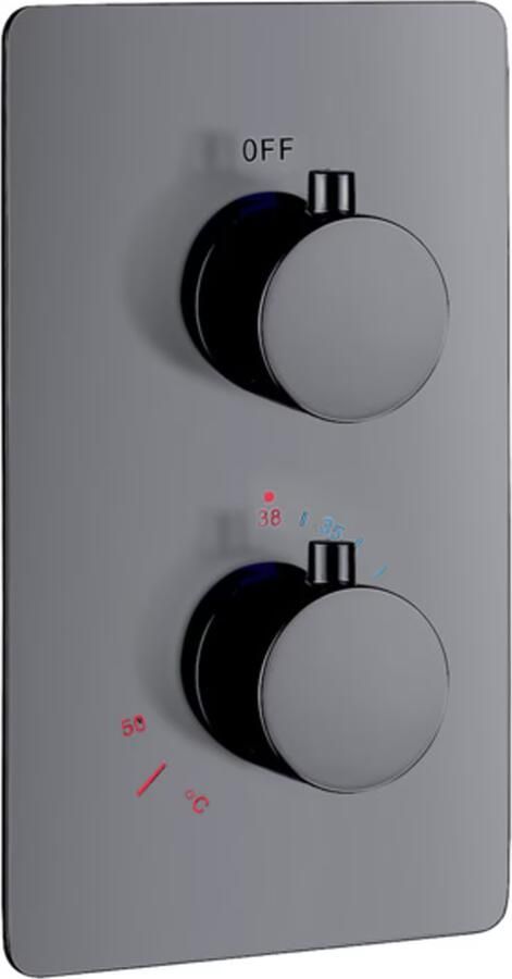 Aloni Creavit inbouw regendoucheset thermostatisch 2 weg gunmetal - Foto 2