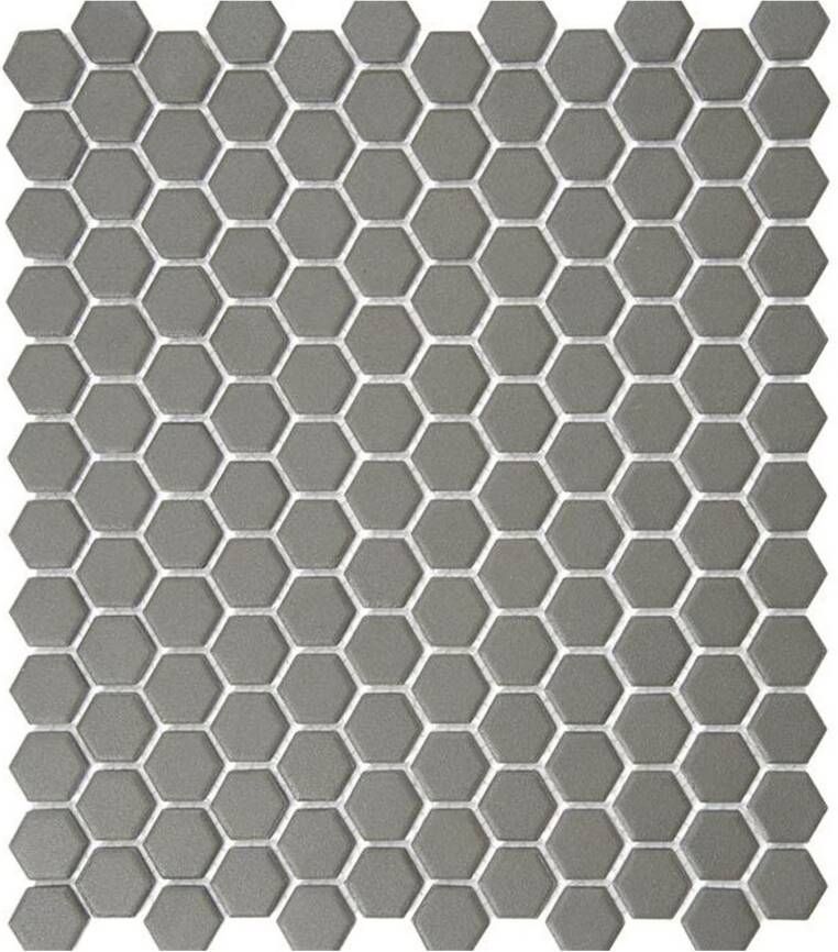 Aquacolor Massive Wandtegel | 26x31 cm | Mozaiek | Mat Grijs