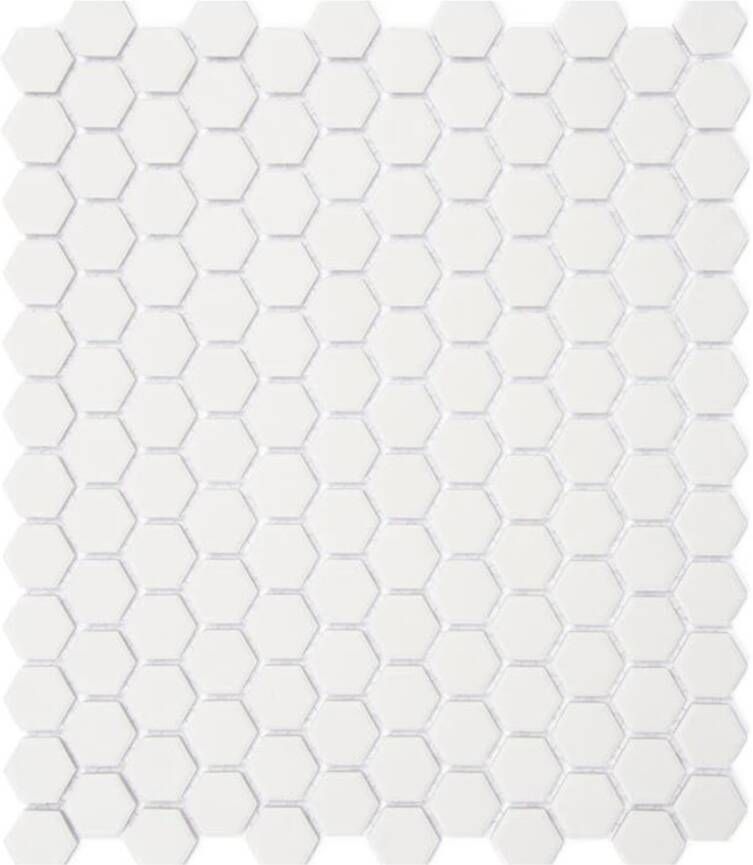 Aquacolor Massive Wandtegel | 26x31 cm | Mozaiek | Mat Wit