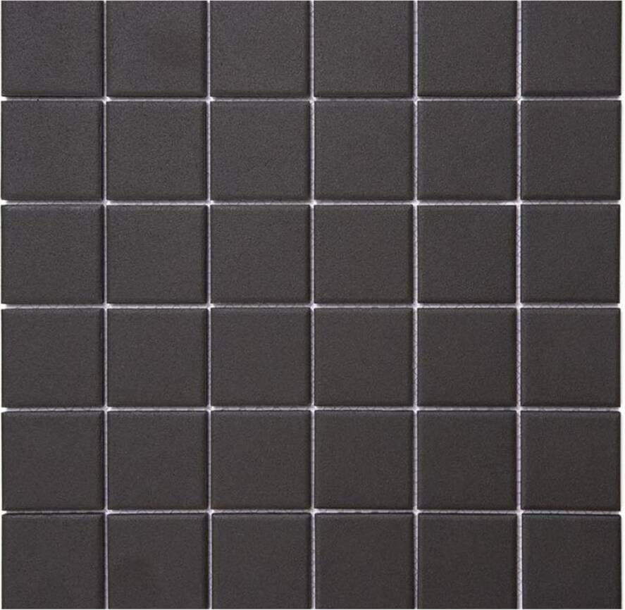 Aquacolor Massive Wandtegel | 30x30 cm | Mozaiek | Mat Antraciet