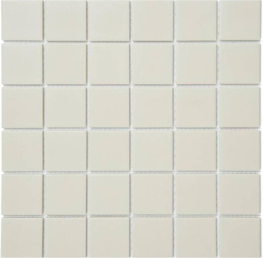 Aquacolor Massive Wandtegel | 30x30 cm | Mozaiek | Mat Beige
