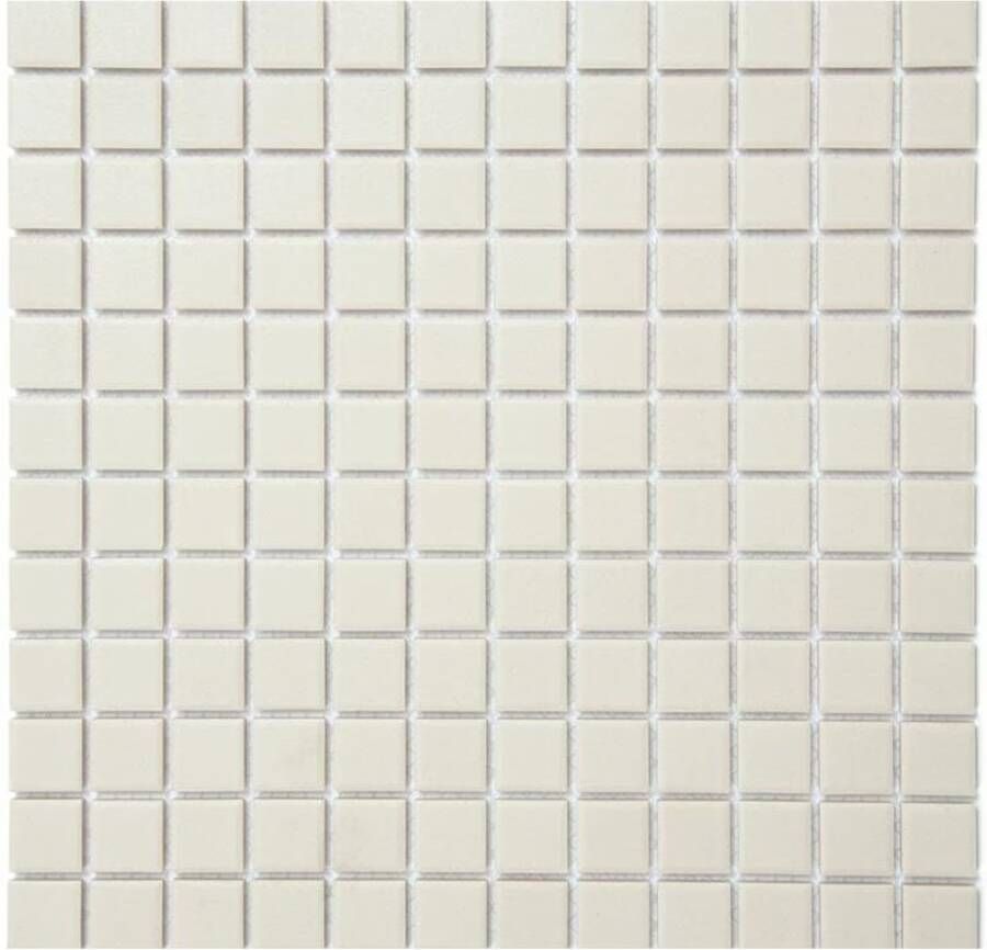 Aquacolor Massive Wandtegel | 30x30 cm | Mozaiek | Mat Beige