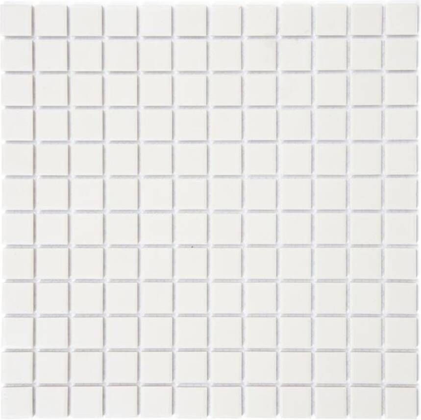 Aquacolor Massive Wandtegel | 30x30 cm | Mozaiek | Mat Wit