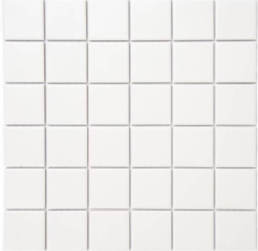 Aquacolor Massive Wandtegel | 30x30 cm | Mozaiek | Mat Wit