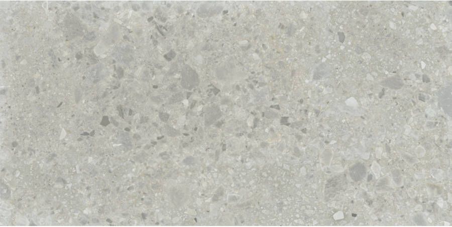 Baldocer Cerámica Nover Steel terrazzo look 80x160 grijs