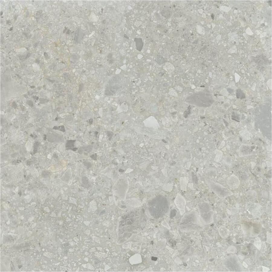 Baldocer Cerámica Nover Vloer- en wandtegel | 80x80 cm | Gerectificeerd | Terrazzo | Mat Grijs