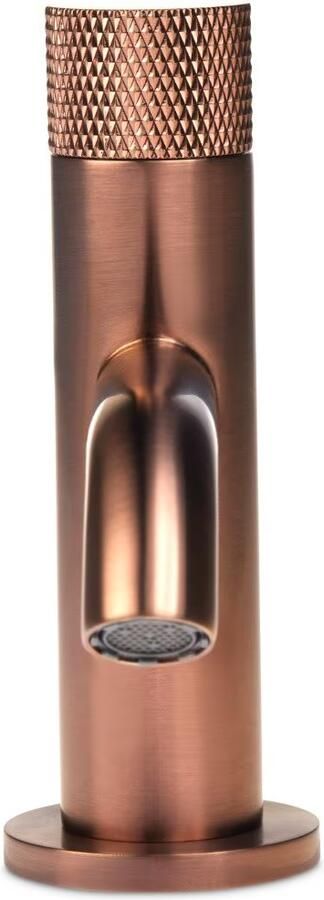 Blue Label Fonteinkraan Brondby Facet | Opbouw | Koudwater kraan | Laag model | 1-knop | Rond | Geborsteld brons - Foto 2