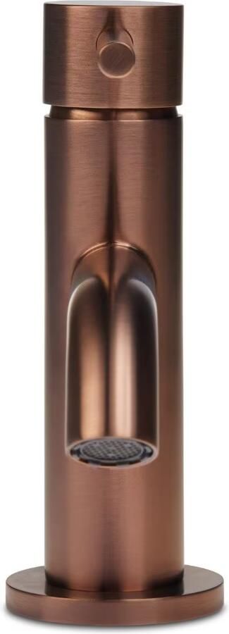 Blue Label Fonteinkraan Brondby | Opbouw | Koudwater kraan | Laag model | Eengreeps | Geborsteld brons - Foto 2