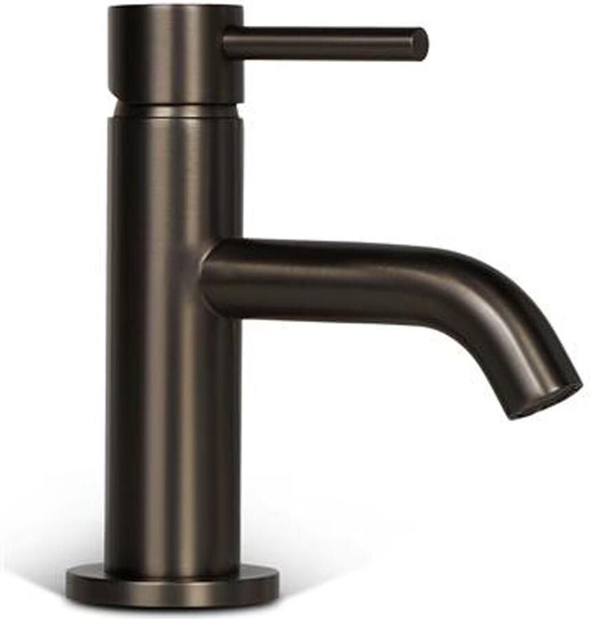 Blue Label Fonteinkraan Brondby | Opbouw | Koudwater kraan | Laag model | Eengreeps | Gunmetal PVD - Foto 3