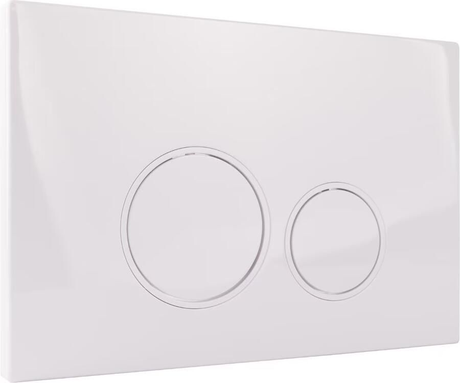 Blue Label Geberit Delta UP100 toiletset 23 wandcloset wit glans 49 cm met softclose zitting en drukplaat wit glans