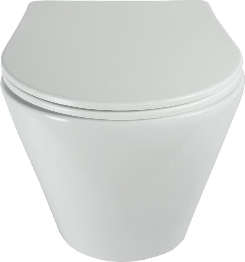 Blue Label Odin wandcloset 53 cm randloos met softclose zitting Mat wit