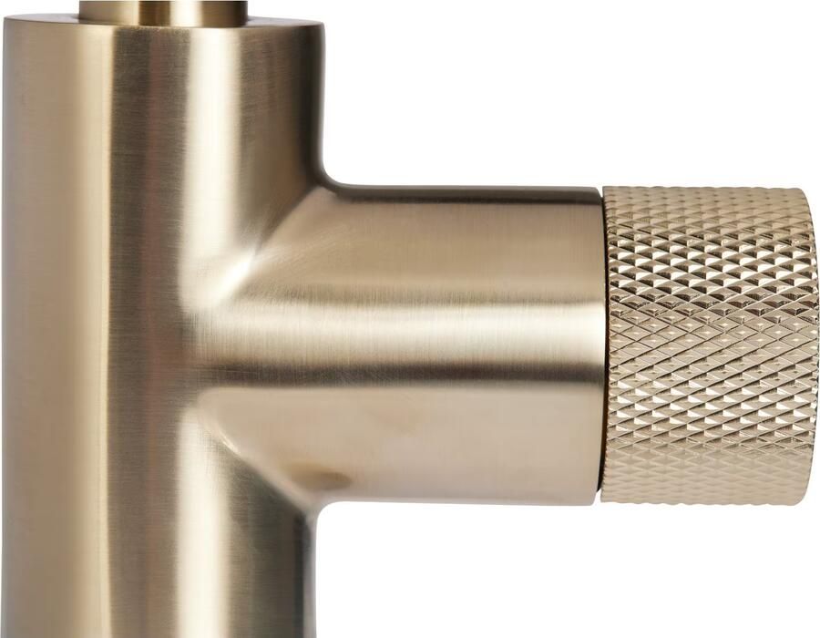 Blue Label Wastafelkraan Brondby Facet | Opbouw | Draaibare uitloop | Mengkraan | Hoog model | 1-hendel | Rond | Geborsteld goud PVD