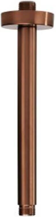 Blue Label Douchearm Brondby | 20 cm | Plafond montage | Messing | Rond | Geborsteld brons