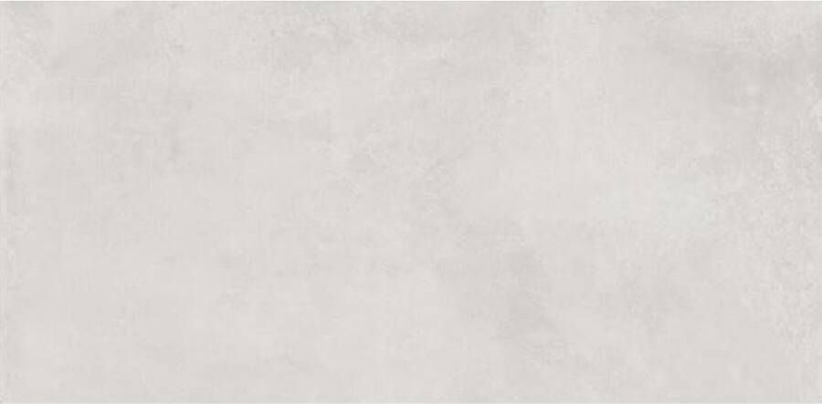 Century Blend Vloertegel | 60x120 cm | Gerectificeerd | Betonlook | Mat Wit