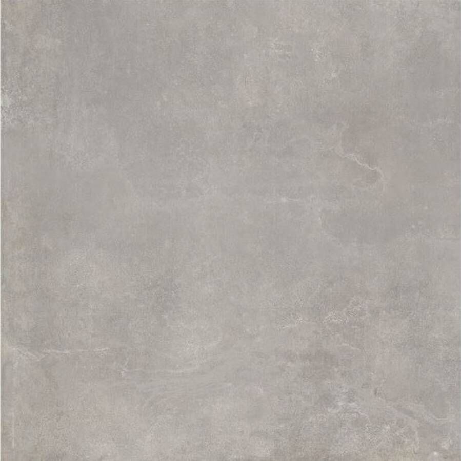 Century Blend Vloertegel | 80x80 cm | Gerectificeerd | Betonlook | Mat Grijs