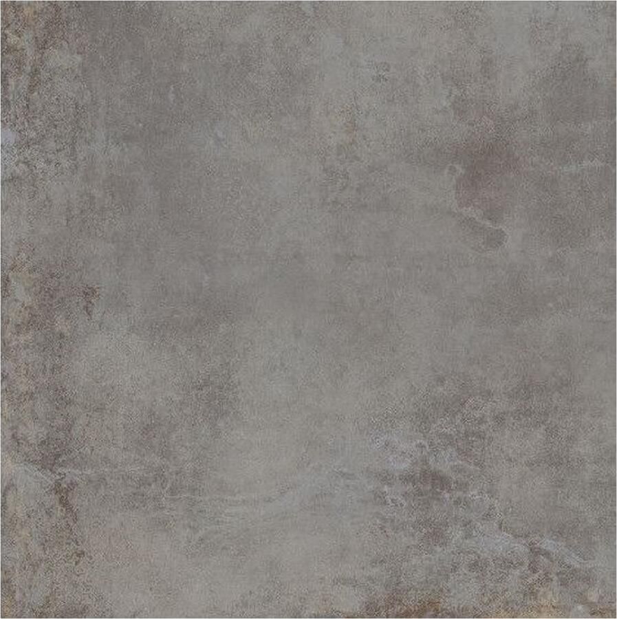 Century Blend Vloertegel | 60x60 cm | Gerectificeerd | Betonlook | Mat Grijs