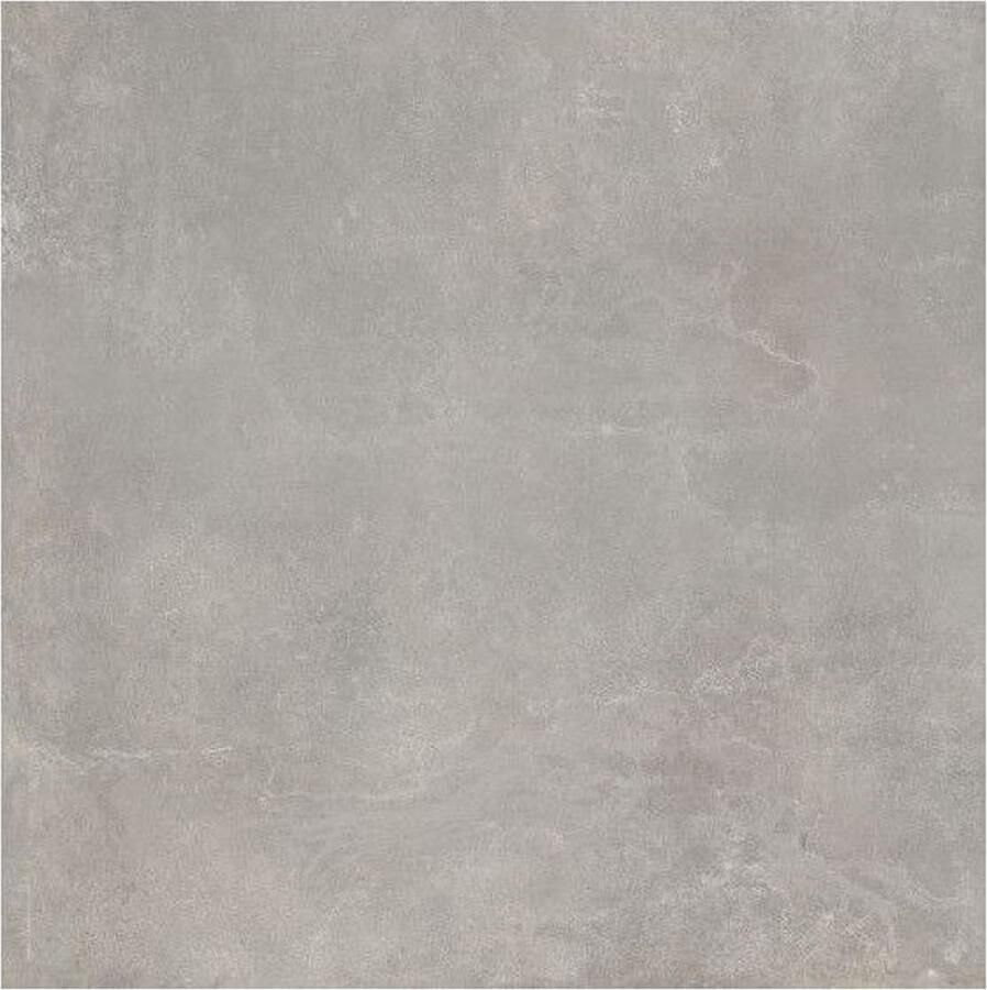 Century Blend Vloertegel | 60x60 cm | Gerectificeerd | Betonlook | Mat Grijs