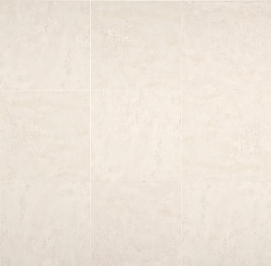 Century Titan Vloertegel | 60x60 cm | Gerectificeerd | Betonlook | Mat Grijs