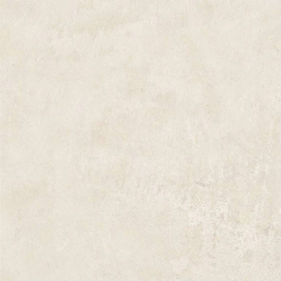 Century Titan Vloertegel | 120x120 cm | Gerectificeerd | Betonlook | Mat Grijs