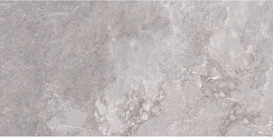 Edimax Astor Golden Age wand en vloertegel 60x120 cm grey rett