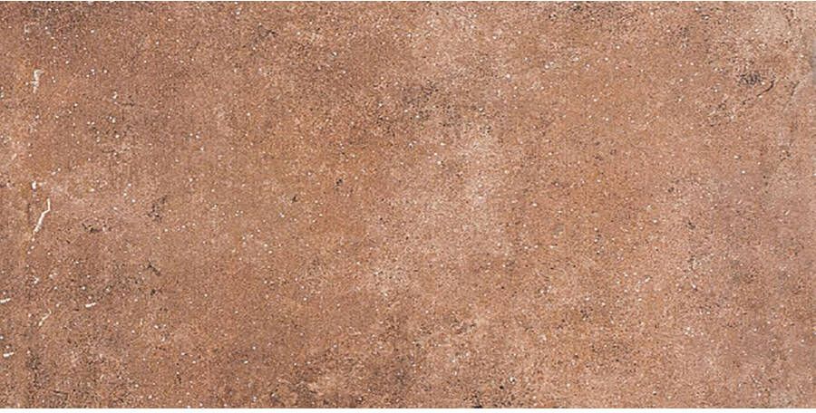 EnergieKer Antichi Amori Vloer- en wandtegel | 15x30 cm | Vintage | Mat Terracotta