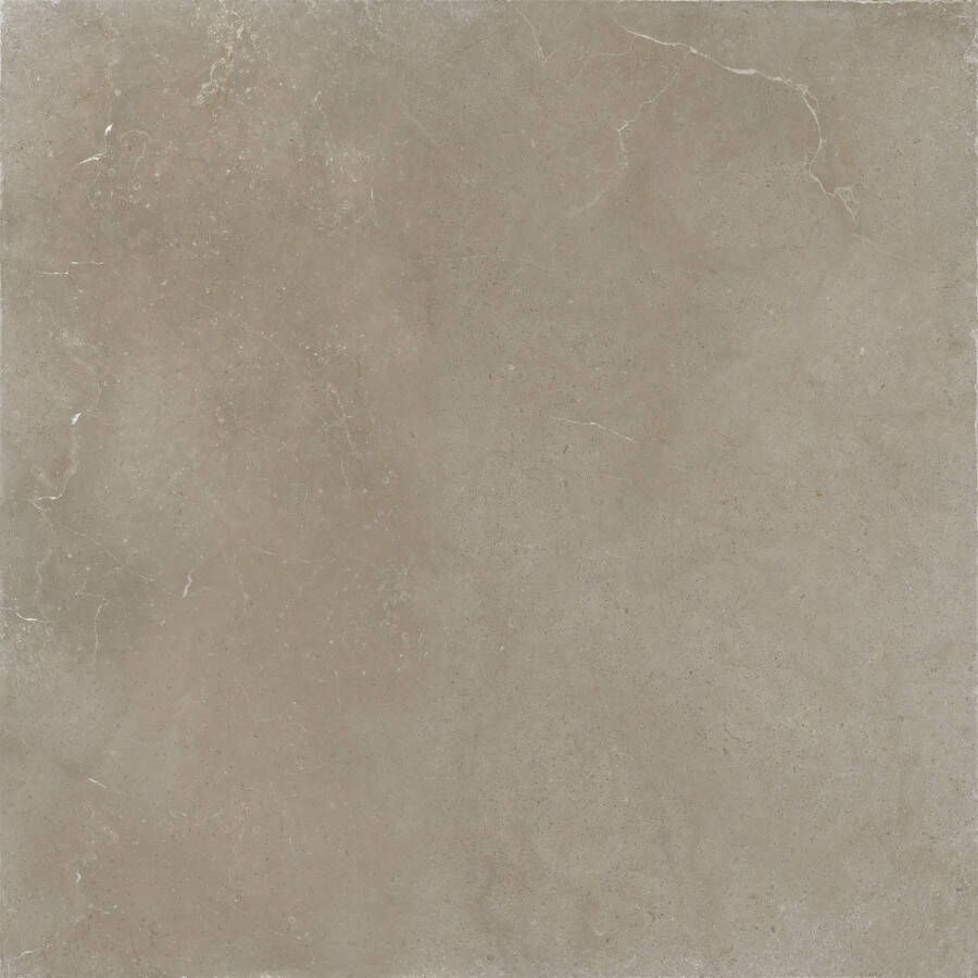 EnergieKer Hollstone Vloer- en wandtegel | 120x120 cm | Gerectificeerd | Natuursteenlook | Mat Taupe