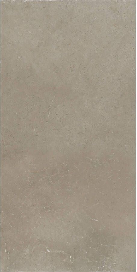 EnergieKer Hollstone Vloer- en wandtegel | 60x120 cm | Gerectificeerd | Natuursteenlook | Mat Taupe