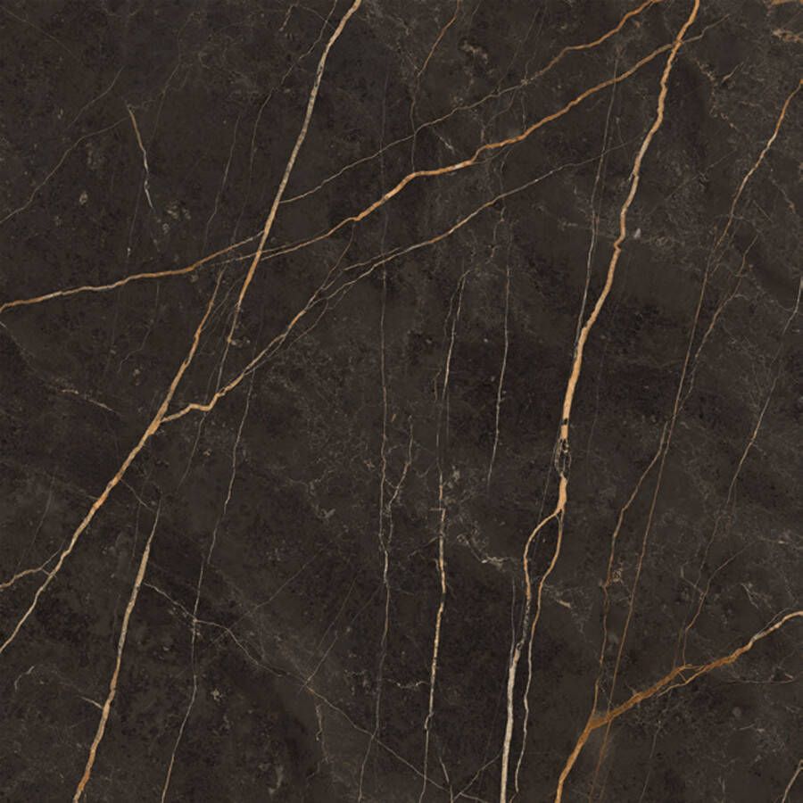 EnergieKer Saint Laurent Vloer- en wandtegel | 120x120 cm | Gerectificeerd | Natuursteenlook | Gepolijst Antraciet