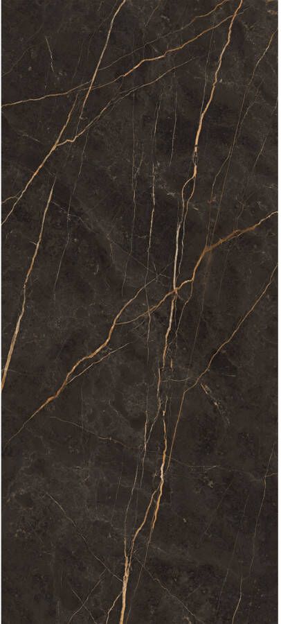 EnergieKer Saint Laurent Vloer- en wandtegel | 120x280 cm | Gerectificeerd | Natuursteenlook | Mat Antraciet