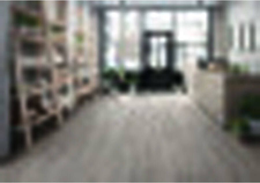 Atlas Concorde Solution Breath Vloer- en wandtegel | 22.2x89.5 cm | Gerectificeerd | Houtlook | Mat Grijs