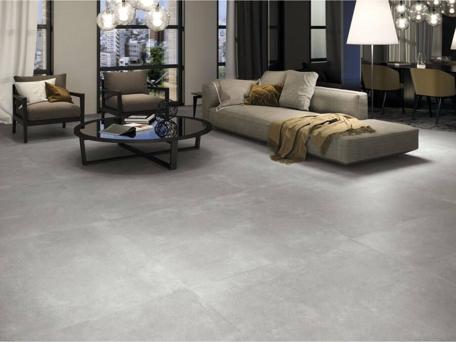 Baldocer Cerámica Arkety Grey beton look 120x120 cm grijs