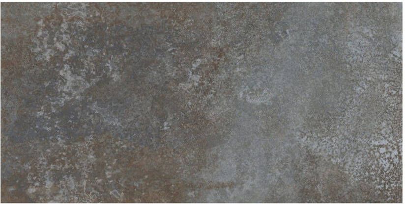 Century Blend Vloertegel | 60x120 cm | Gerectificeerd | Betonlook | Mat Grijs