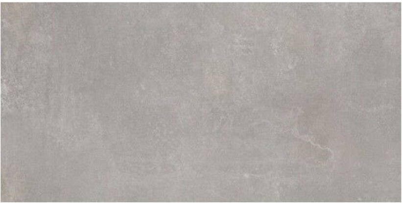 Century Blend Vloertegel | 60x120 cm | Gerectificeerd | Betonlook | Mat Grijs