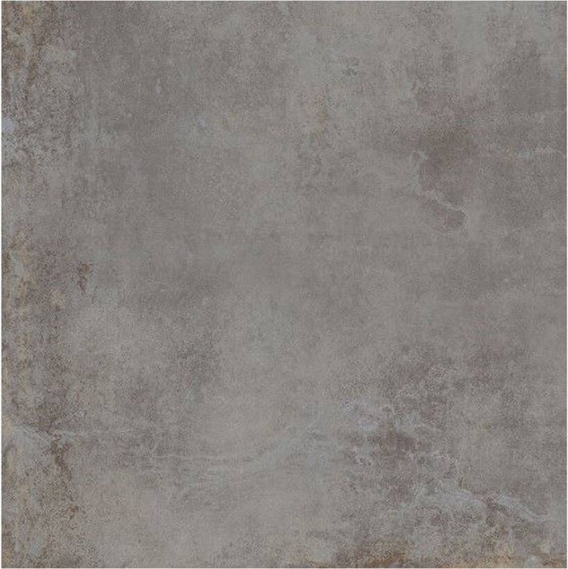 Century Blend Vloertegel | 60x60 cm | Gerectificeerd | Betonlook | Mat Grijs