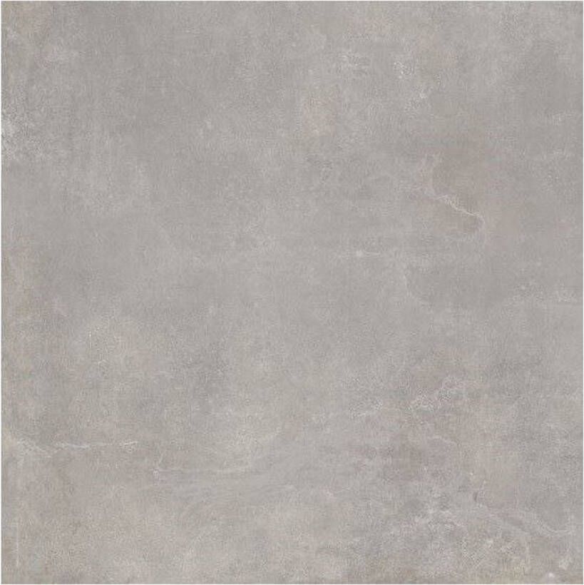 Century Blend Vloertegel | 60x60 cm | Gerectificeerd | Betonlook | Mat Grijs