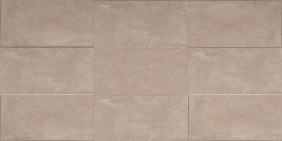Century Titan Vloertegel | 60x120 cm | Gerectificeerd | Betonlook | Mat Bruin