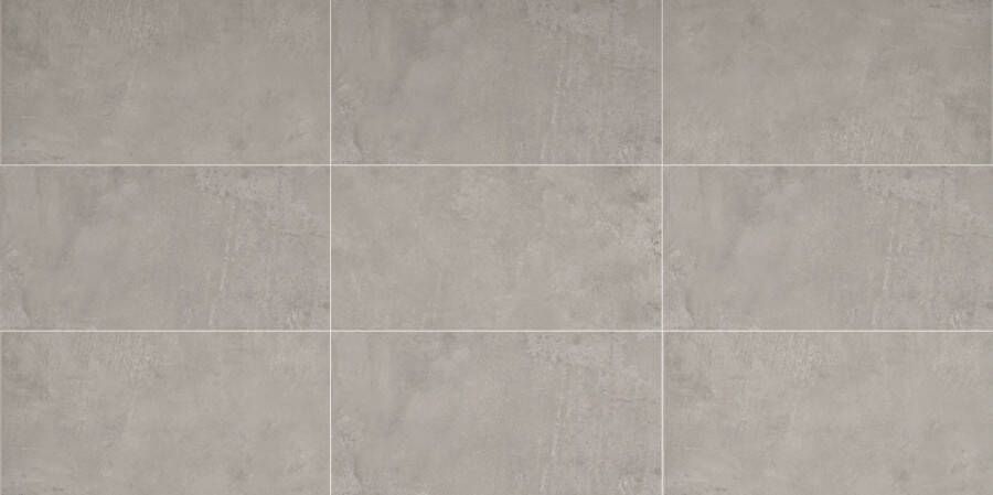 Century Titan Vloertegel | 60x120 cm | Gerectificeerd | Betonlook | Mat Grijs
