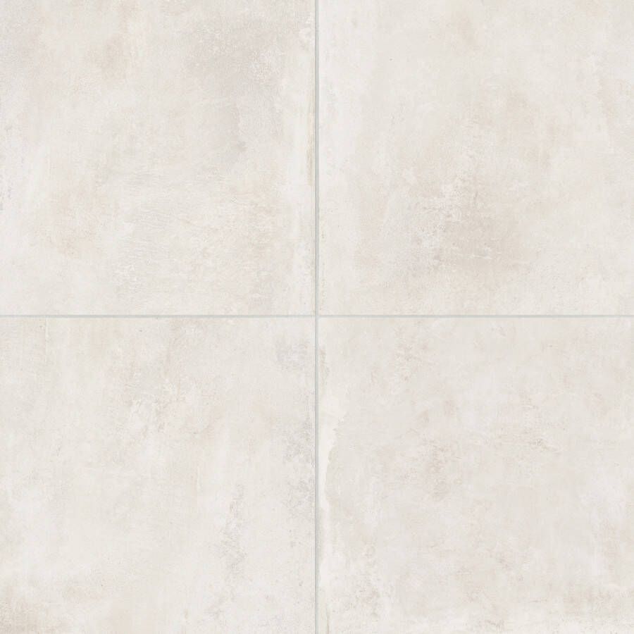 Century Titan Vloertegel | 120x120 cm | Gerectificeerd | Betonlook | Mat Grijs