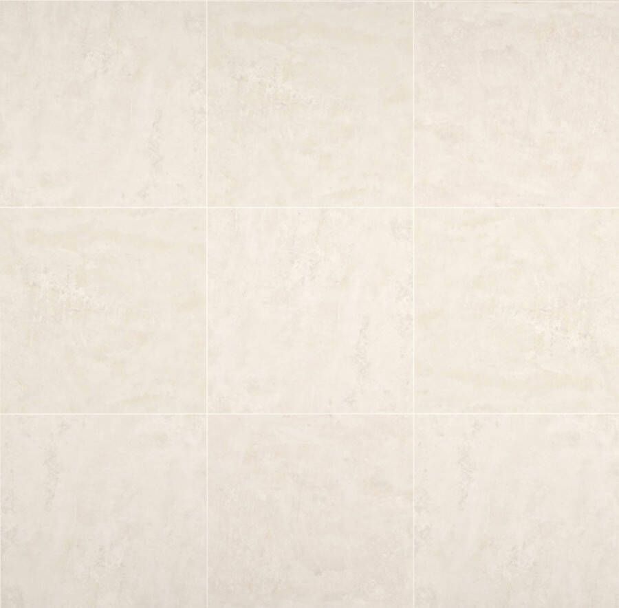Century Titan Vloertegel | 120x120 cm | Gerectificeerd | Betonlook | Mat Grijs