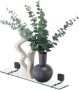 Geesa Planchet Topaz | 60 cm | Zwart - Thumbnail 3