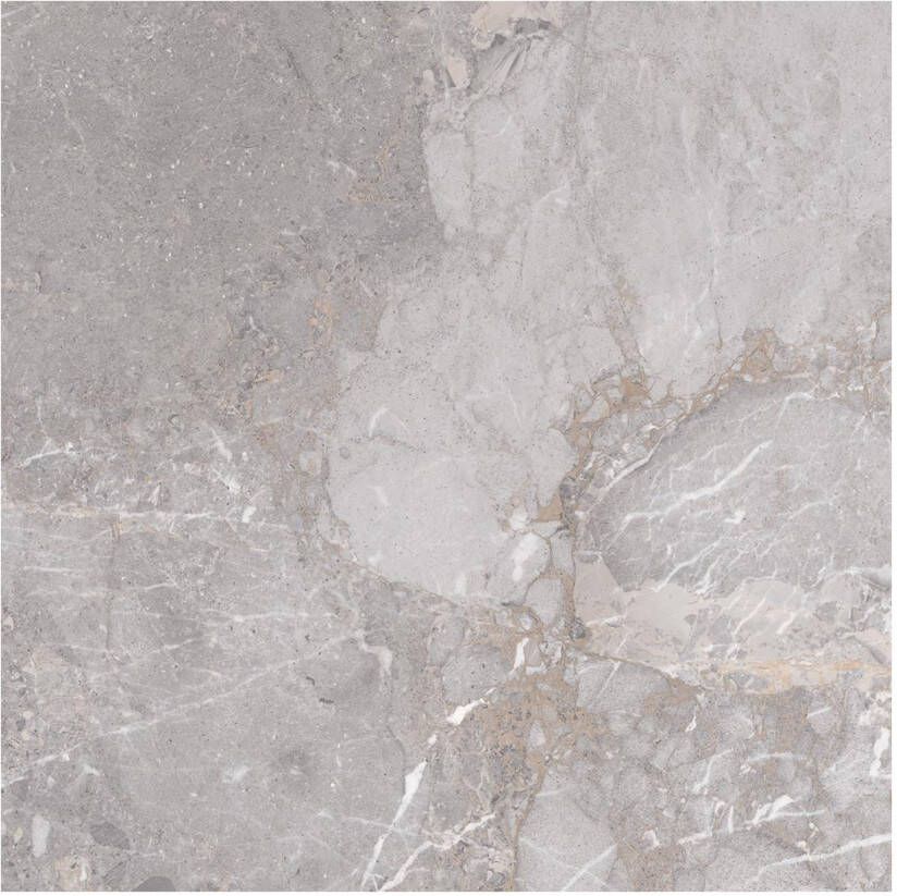 Edimax Astor Golden Age Vloer- en wandtegel | 60x60 cm | Gerectificeerd | Marmerlook | Mat Grijs