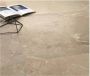 Edimax Astor Golden Age Vloer- en wandtegel | 30x60 cm | Gerectificeerd | Marmerlook | Mat Beige - Thumbnail 2