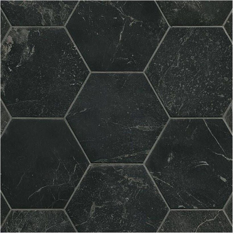 Fap Ceramiche Roma Vloer- en wandtegel | 22x25 cm | Marmerlook | Mat Antraciet