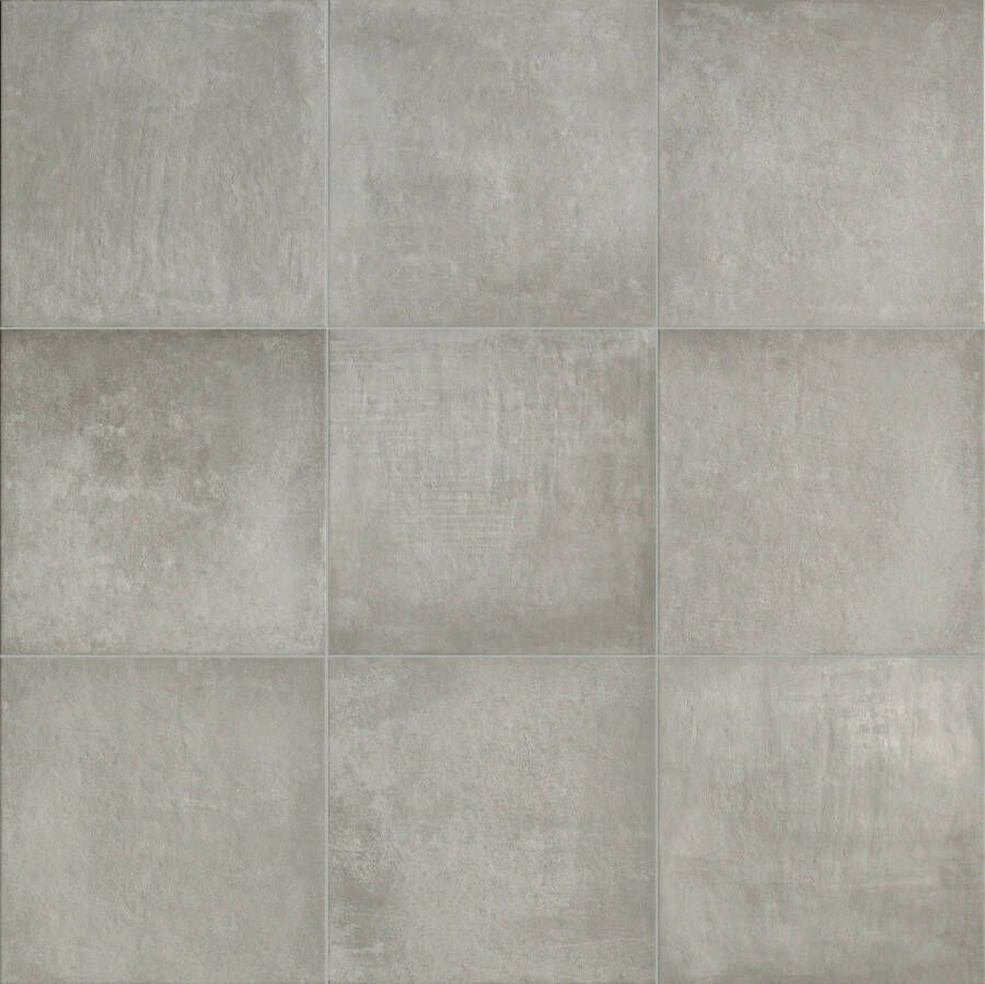 Pastorelli Shade Ghiaccio vloertegel beton look 60x60 cm grijs mat